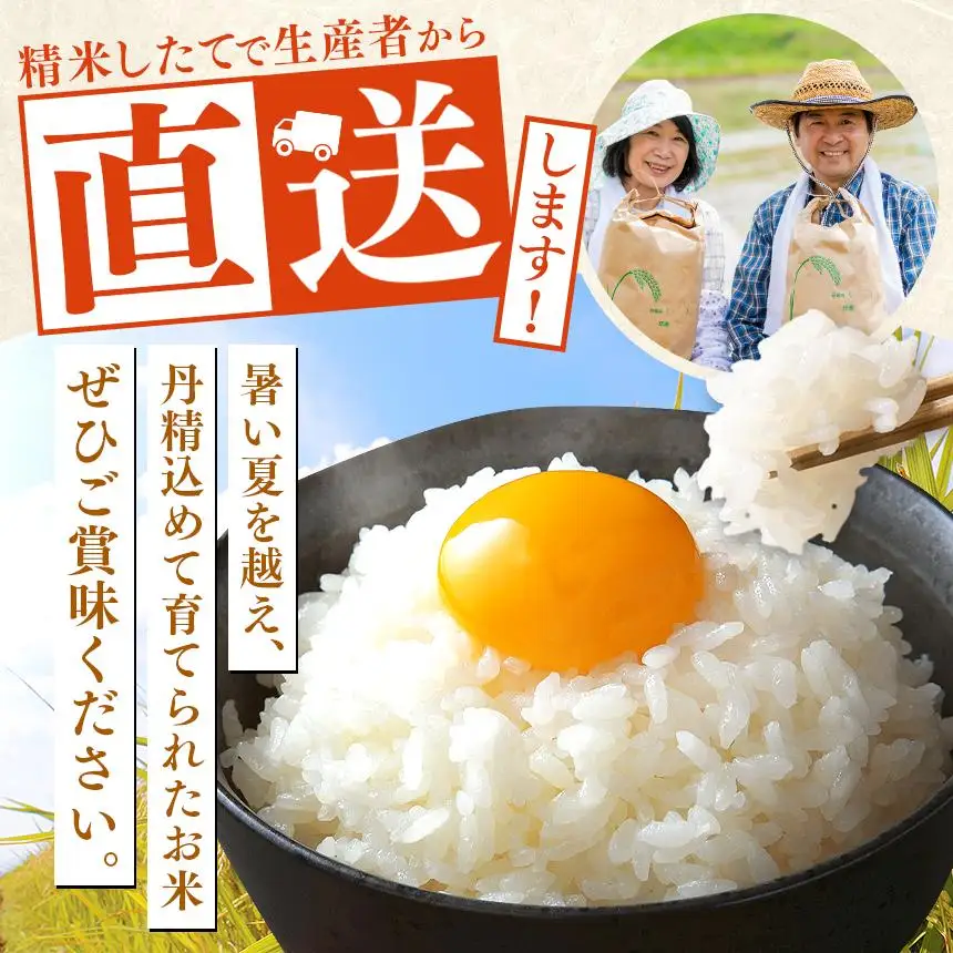 お米 令和8年産 とちぎの星 白米 5kg【2026年産】 | 栃木県共通返礼品 真岡市産