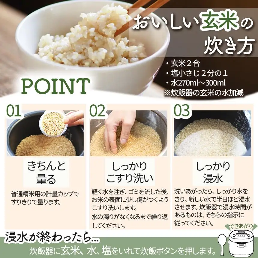 お米 令和8年産 こしひかり 玄米 10kg【2026年産】 | 栃木県共通返礼品 真岡市産
