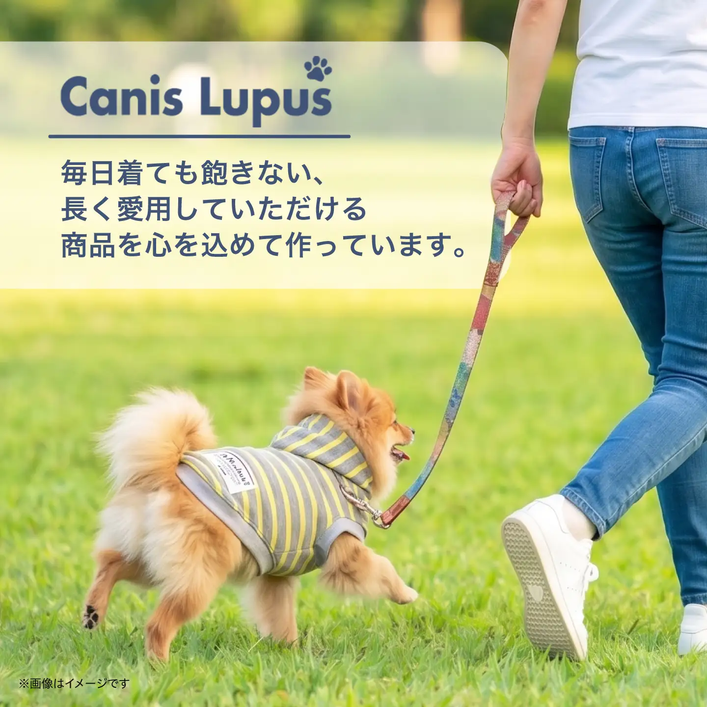 ボーダーパーカー イエロー×グレー （SS/S/MM/M） / ペット用品 ドックウェア 犬服 犬用 / 佐賀県 / Canis Lupus[41AAAN016]