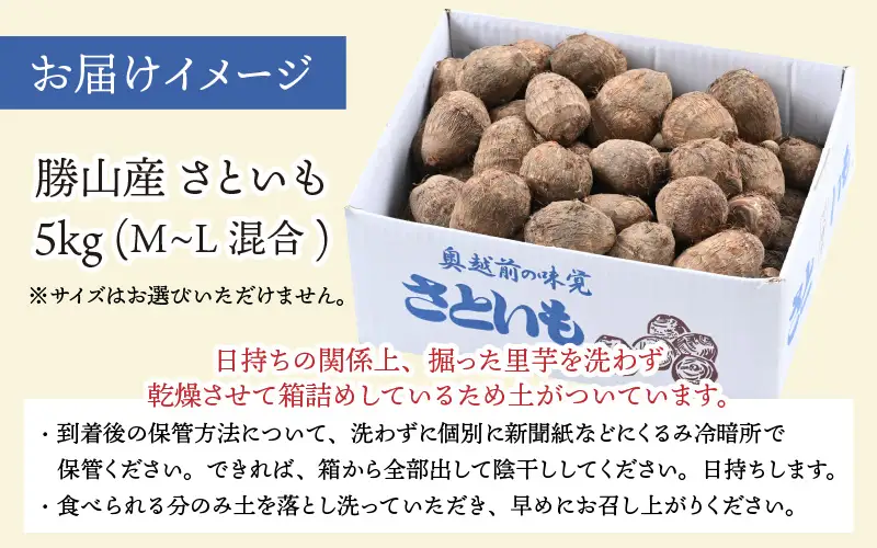 里芋 令和8年産 かつやま里芋 5kg 先行予約 [A-005013]