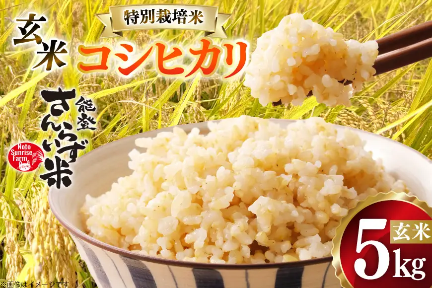 米 令和8年産 特別栽培米 コシヒカリ 5kg 玄米
