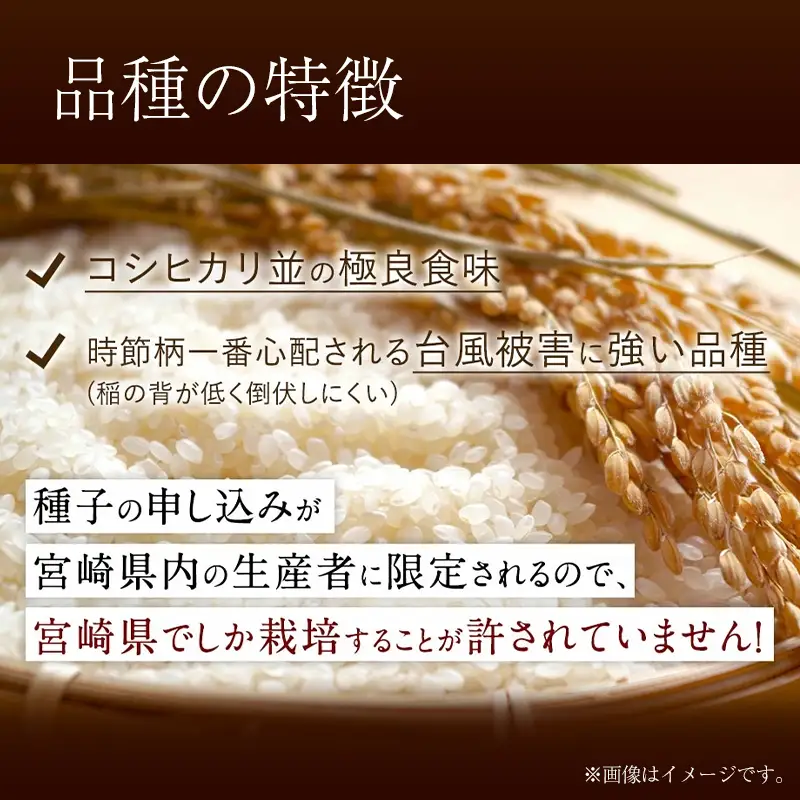 【無洗米】 ＜チャック付＞ 新米 国産 令和8年産 夏の笑み 宮崎県産（5kg） 