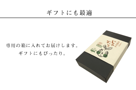 じゃばら味噌漬け　3種詰め合わせ10切れ入り＜訳ありじゃばらポン酢付き＞【snn300】