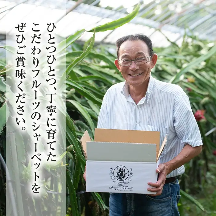 鹿児島県産 フルーツ シャーベット アイス 計12個 90g×各6個 パッションフルーツ レッドドラゴンフルーツ はまうえ果樹園 No.627 