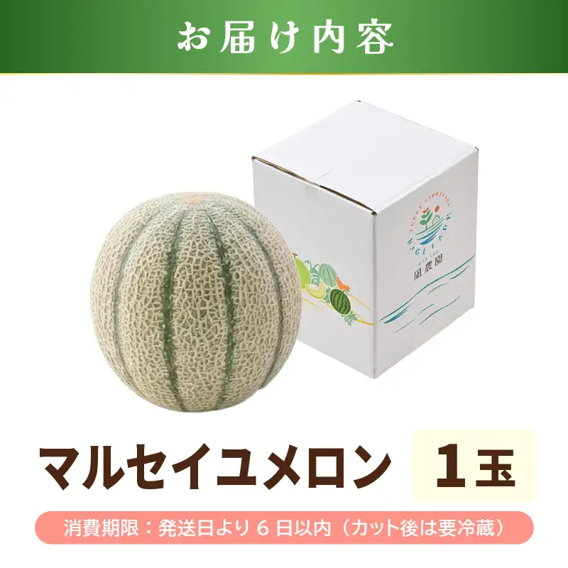 先行予約  マルセイユメロン (赤肉) 1玉 糖度15度以上 2027年6月上旬以降順次発送予定 [A-22105]