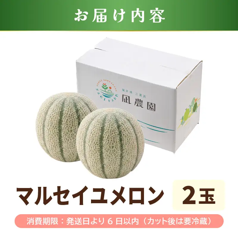 先行予約  マルセイユメロン (赤肉) 2玉 糖度15度以上 2027年6月上旬以降順次発送予定 [B-22101]