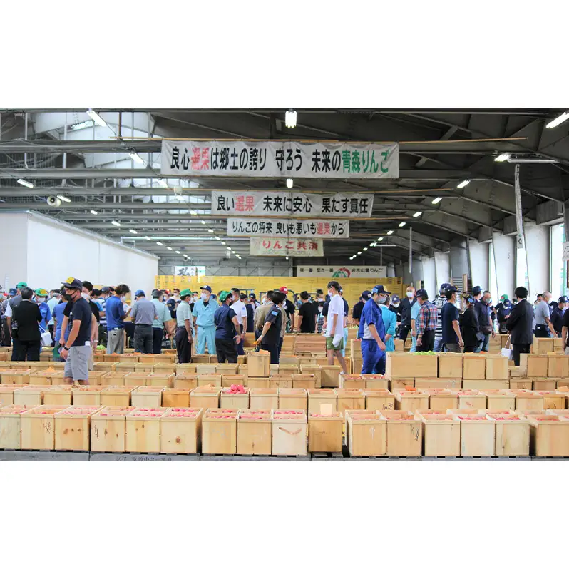 りんご サンふじ家庭用 青森県産 りんご【約3kg】【12月発送】