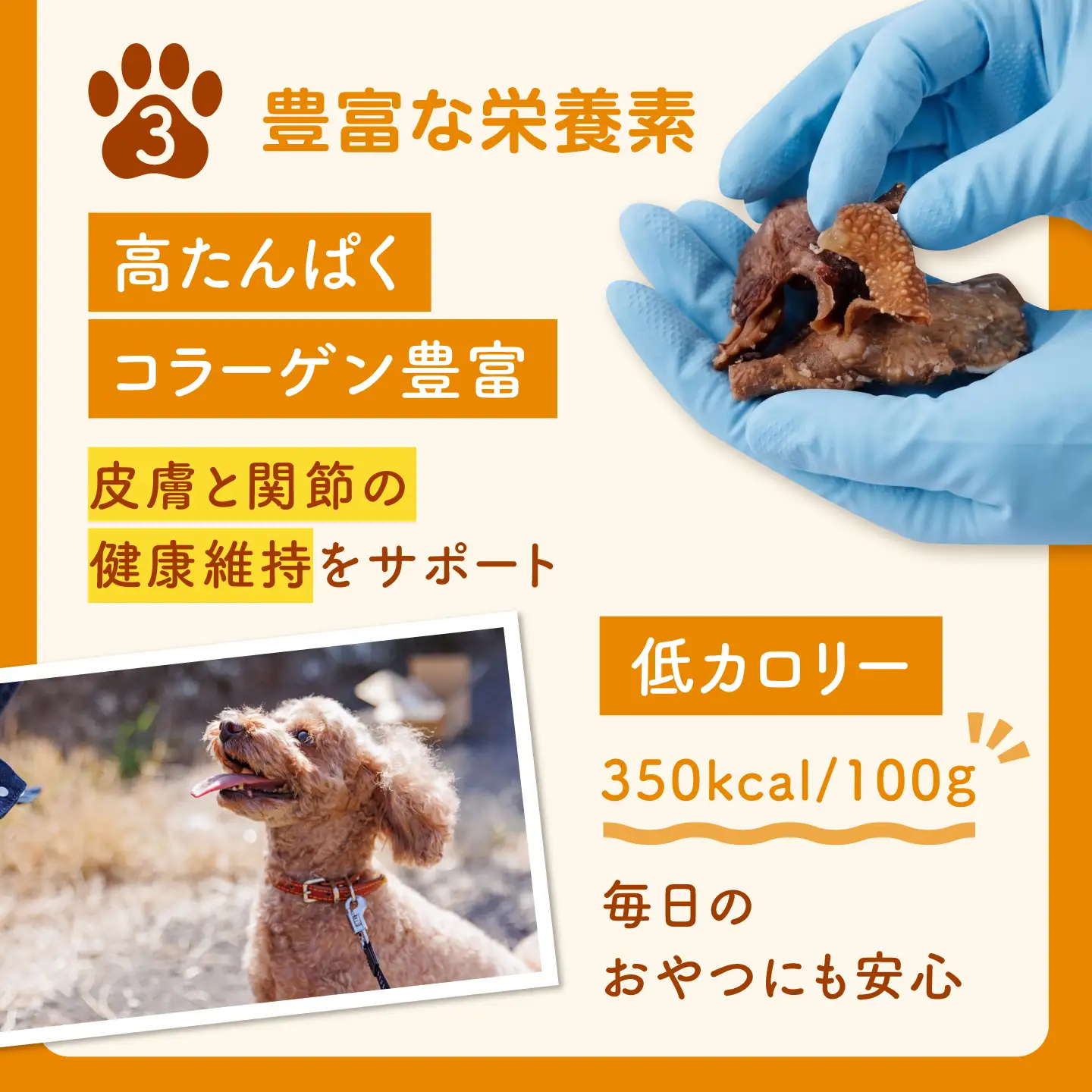 【愛犬用】牛タン皮 ドッグフード 200g(50g×4) / 牛タン 牛たん 犬 おやつ ジャーキー 手作り シニア犬対応 しつけ ご褒美 / 諫早市 / 野中精肉店[AHCW160]
