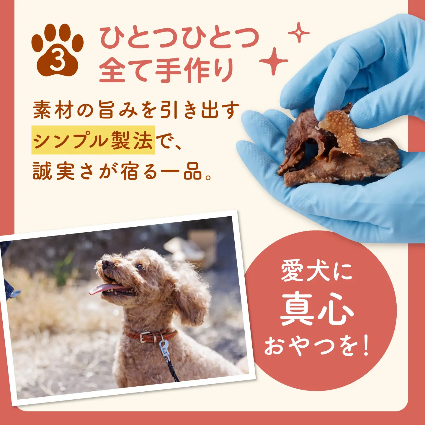 【愛犬用】和牛 ビーフジャーキー 200g(50g×4) / 和牛 国産牛 犬 おやつ ドッグフード 手作り シニア犬対応 しつけ ご褒美 / 諫早市 / 野中精肉店[AHCW161]