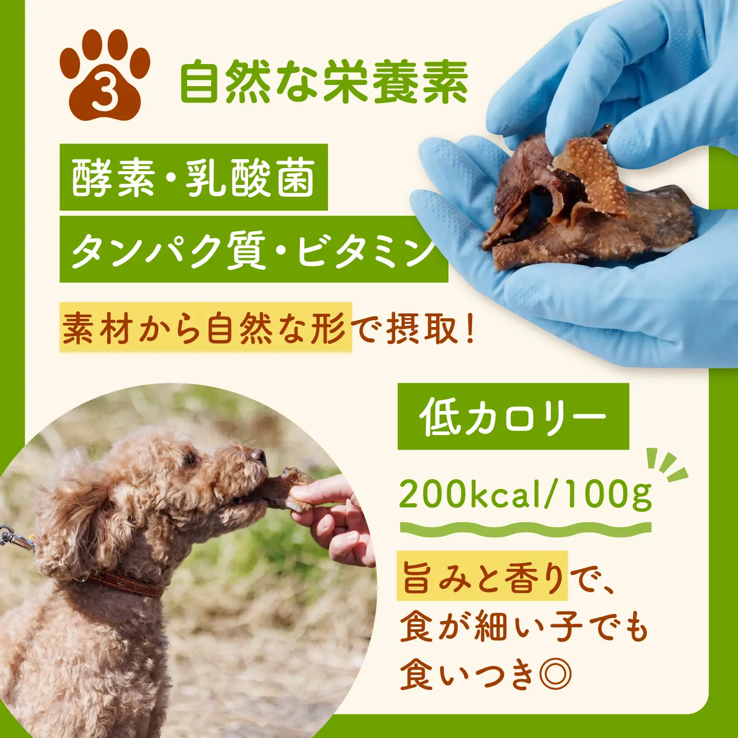 【愛犬用】グリーントライプ ドッグフード 200g(50g×4) / グリーントライプ トライプ はちのす 犬 おやつ ジャーキー 手作り シニア犬対応 しつけ ご褒美 腸活 / 諫早市 / 野中精肉店[AHCW162]