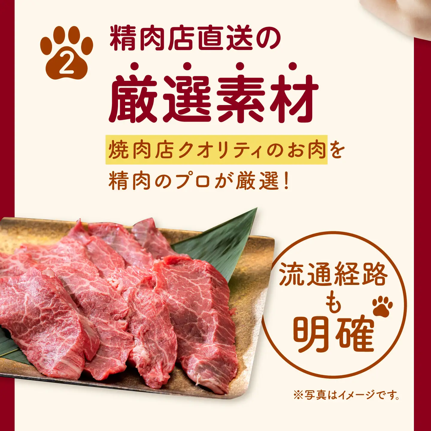 【愛犬用】牛肉ジャーキー 3種セット 各100g(50g×2) / 牛タン 牛たん グリーントライプ トライプ はちのす 犬 おやつ ドッグフード ジャーキー 手作り シニア犬対応 しつけ ご褒美 / 諫早市 / 野中精肉店[AHCW163]