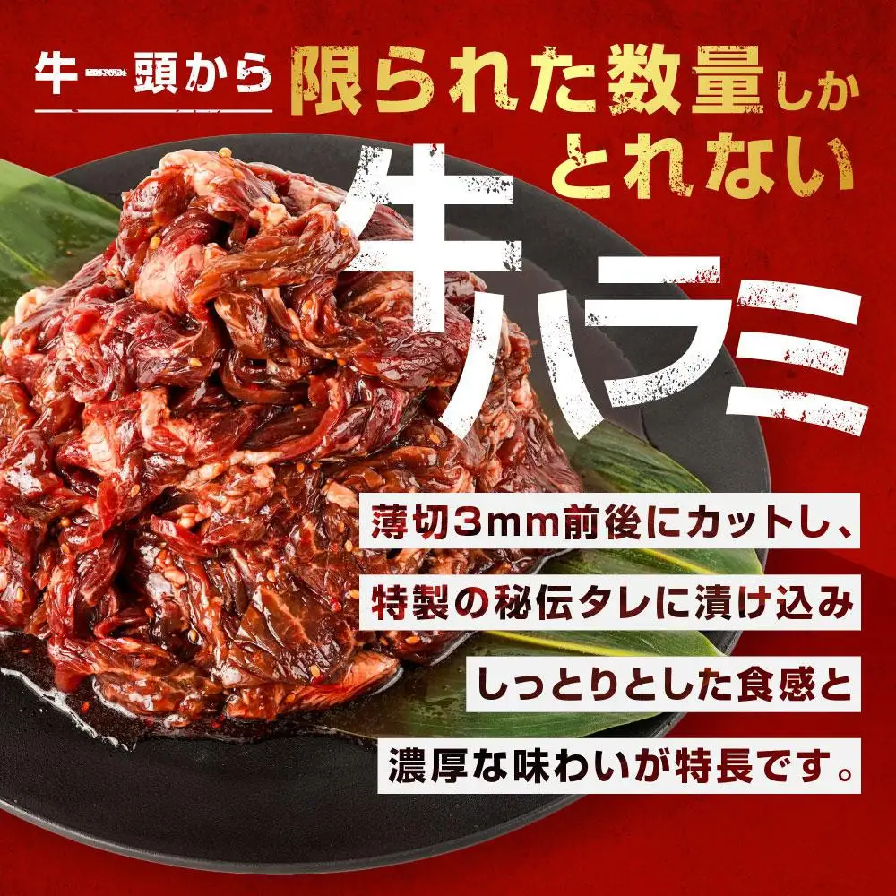 訳あり 秘伝タレ漬け牛ハラミ(サガリ)薄切 500g×6袋 合計3kg | ハラミ_05949