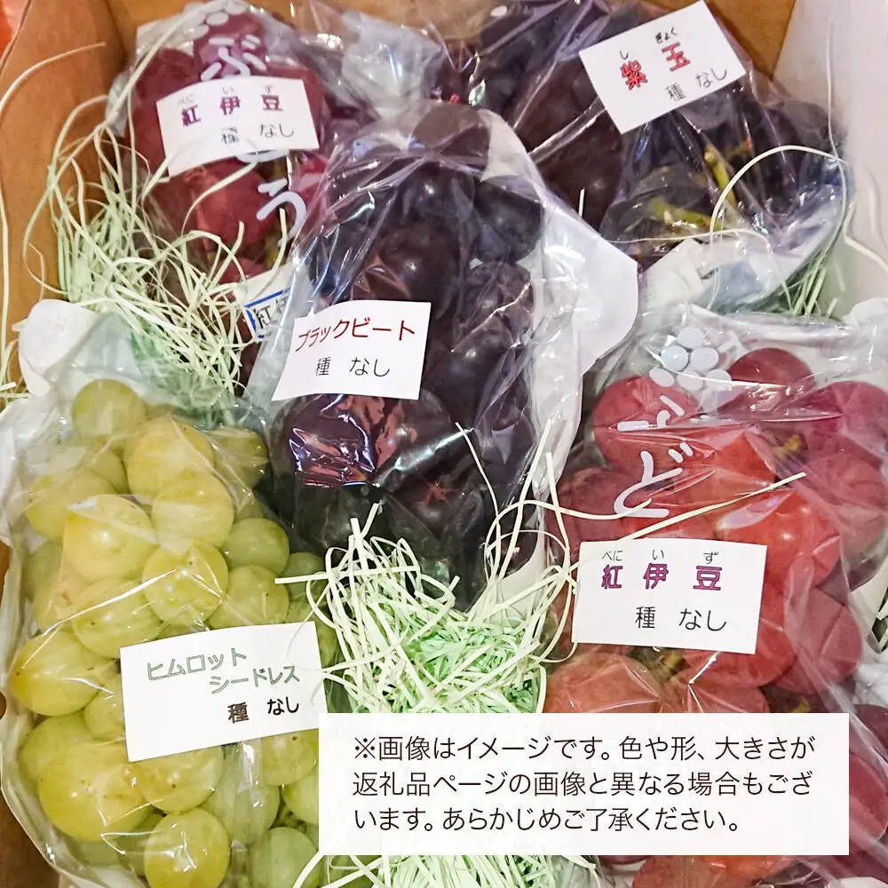 《先行受付》小坂産 ぶどう 種無し大粒・品種おまかせ 3～5房 セット（約2kg）