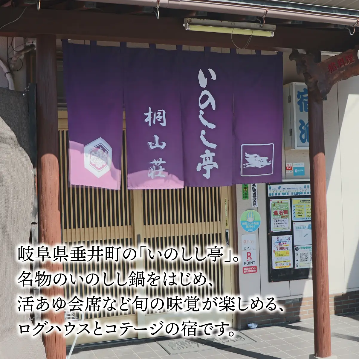 【期間限定】【岐阜県産】 活あゆ会席 お食事券（２名様分）｜岐阜 鮎 食事券 お造り 刺身 塩焼き 雑炊 フルコース 夏 隠れ家 グルメ 生け簀 ギフト プレゼント いのしし亭 桐山荘