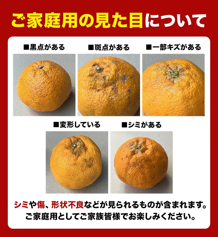訳あり 旬の柑橘 詰め合わせ 3種以上 サイズ混合 5kg エイワ商店