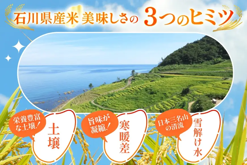 米 定期便 石川のお米 食べ比べ 5kg 3回 総計15kg こしひかり ゆめみづほ ひゃくまん穀