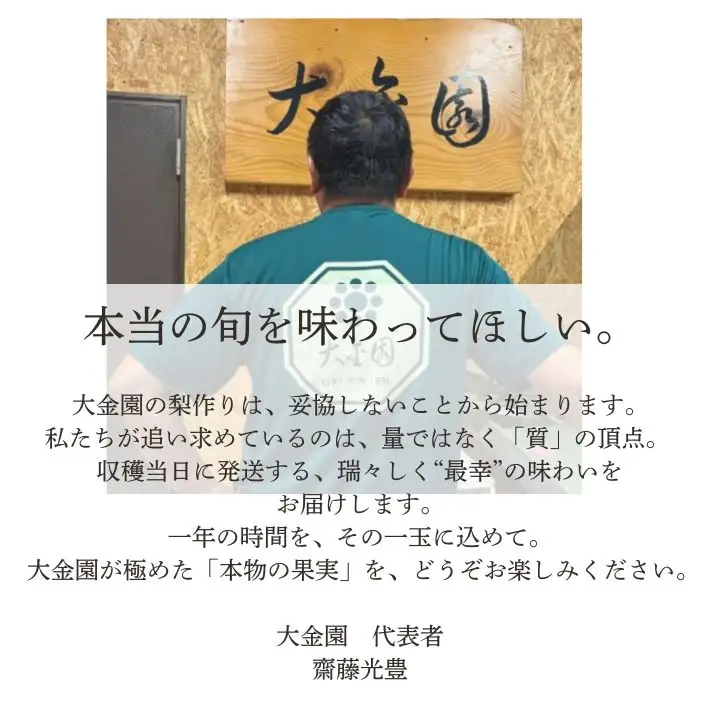 船橋のなし 幸水 5kg（大金園）
