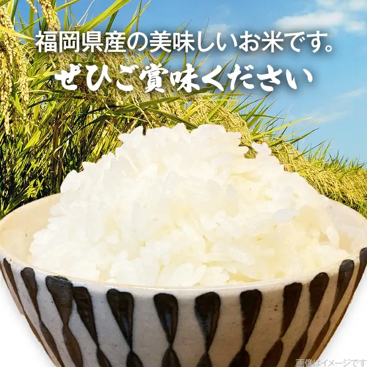 【令和7年産】 福岡県 大木町産 ヒノヒカリ 5kg　BC01-1
