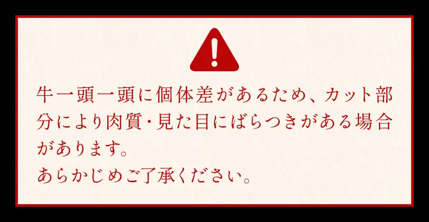 牛肉 国産 切り落とし ミンチ セット 家計応援 岡山県産牛 交雑牛 1kg