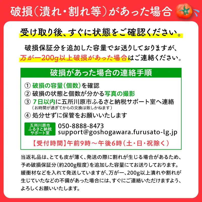 ミニトマト 超薄皮約1.7kg【2026先行受付】7～9月ミニトマト
