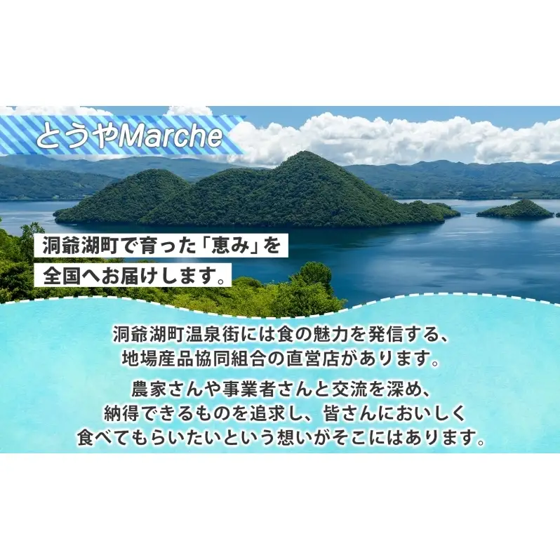 【ふるなびWEEK対象】洞爺湖町産 黄金のわかさぎ 18尾×2P 計36尾 12月以降順次出荷 北海道産 ワカサギ わかさぎ 川魚 魚介類 産地直送 冷凍 お取り寄せ グルメ 天ぷら とうやマルシェ 北海道 洞爺湖町
