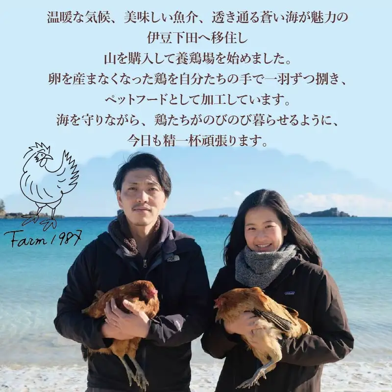ペットフード 鶏肉 ミンチ 犬 猫 ごはん ペットフード