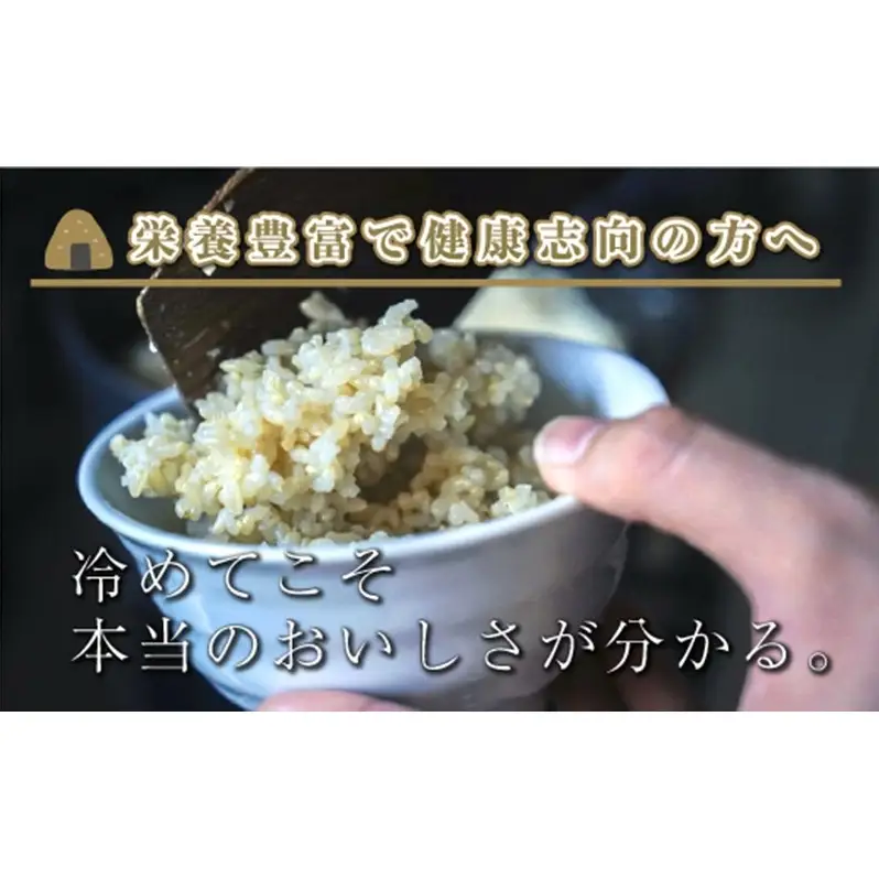 【令和8年産 先行予約】【定期便／全3回】玄米5kg 新潟県魚沼産コシヒカリ「山清水米」