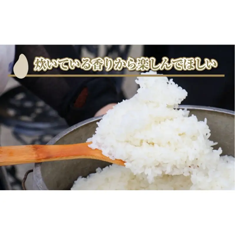 【令和8年産 先行予約】【定期便／全4回】精米10kg 新潟県魚沼産コシヒカリ「山清水米」