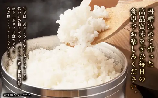 〈 令和8年産 〉 浦臼産ゆめぴりか 精白米 5kg × 1袋 お米 米 こめ コメ 白米 白飯 飯 ご飯 おにぎり 国産 北海道産 ブランド米 ブランド 粘り タンパク質 艶 【 2026年10月下旬より順次発送 】