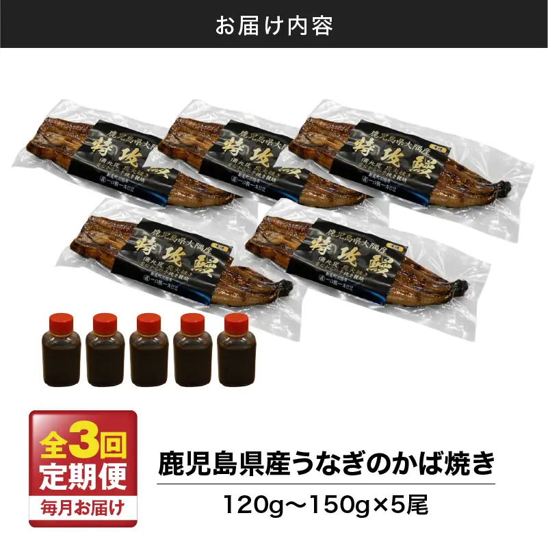 【 全3回 定期便 】 鹿児島県産 うなぎ の かば焼き 5尾 KN174-T05 定期 ウナギ 鰻 蒲焼き 冷凍
