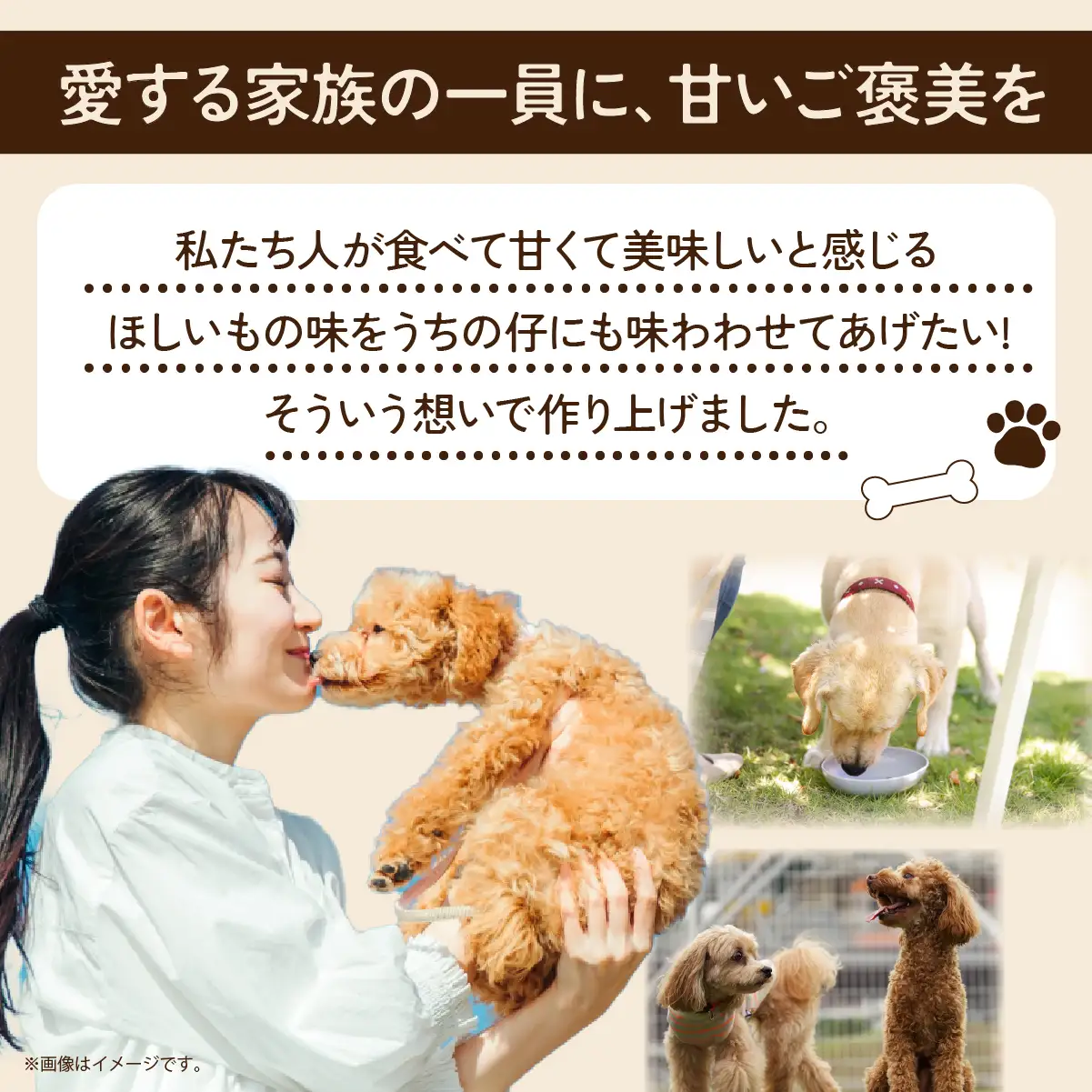 ペットフード ドライさつまいも コンパクトフレーク(30g×4袋)  | ペットフード ぺっとふーど