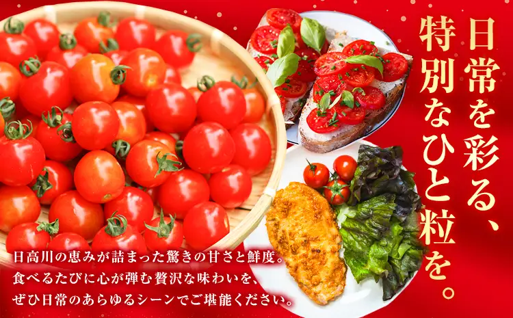 ミニトマト キャロルセブン 約1kg トマト