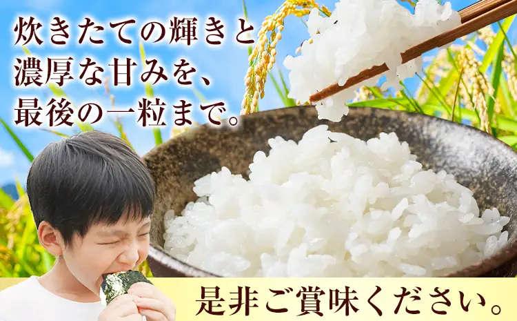 お米 ミルキークイーン 約5kg 精米