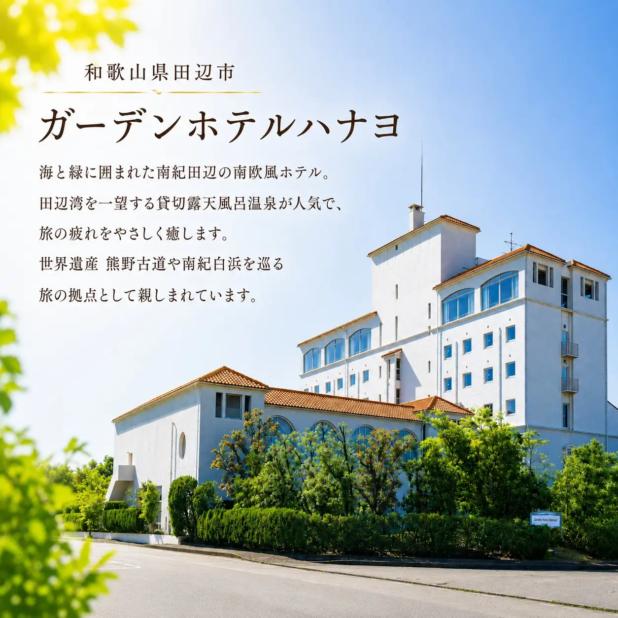  田辺温泉ハナヨの湯　温泉水10L  ※飲用ではございません。 【hny001】
