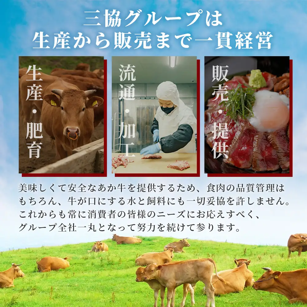 熊本和牛 あか牛 4種のステーキセット 590g  サーロイン200g・ランプ150g・ヒレ120g・三角バラ120g  牛肉 肉 ステーキ 赤身 ヘルシー ブランド牛 熊本県産 046-0798
