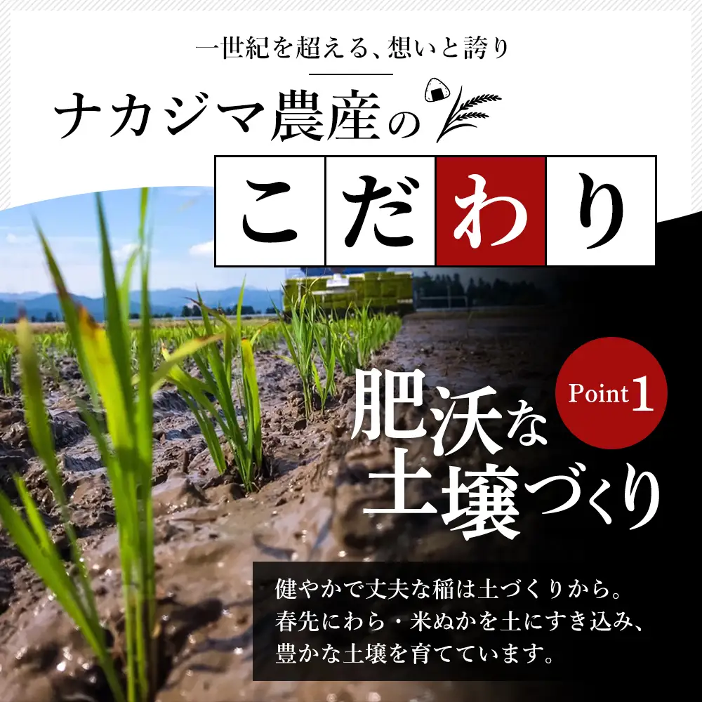 【先行予約・定期便】謙信秘蔵米 コシヒカリ 奇数月 5kg×6回 コシヒカリ