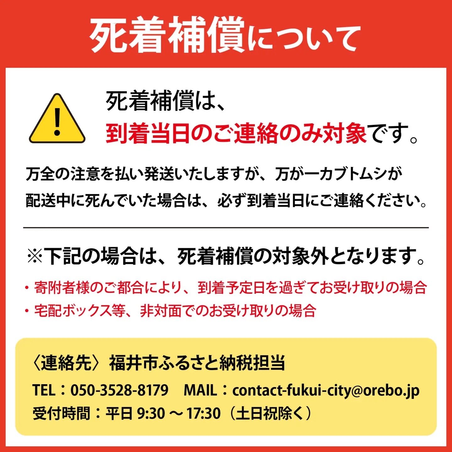 【先行予約】 カブト虫　幼虫・さなぎ観察セット 【2027年4月上旬順次発送】  [A-081005] カブトムシ カブトムシ