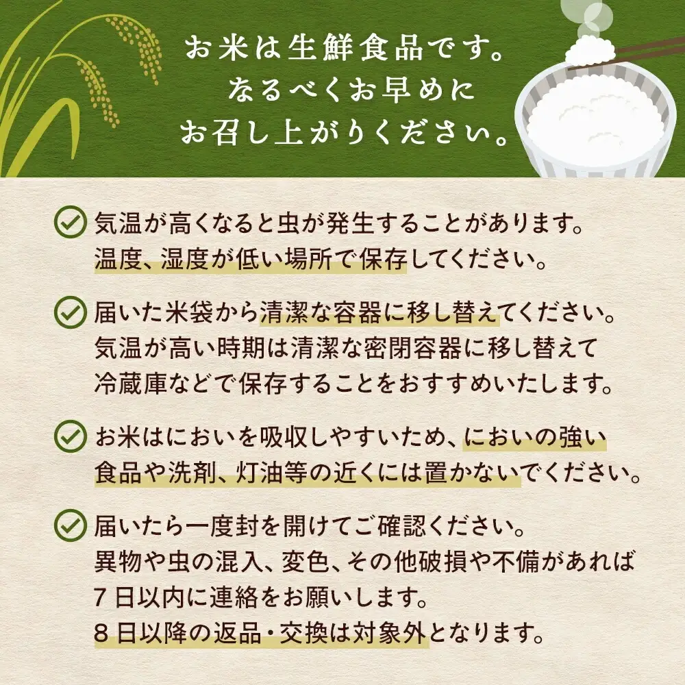 【12月配送】 ＜先行予約＞ 米 令和8年産 つや姫  精米 5kg 単品 新米 こめ コメ お米 ご飯 白米 ツヤ姫