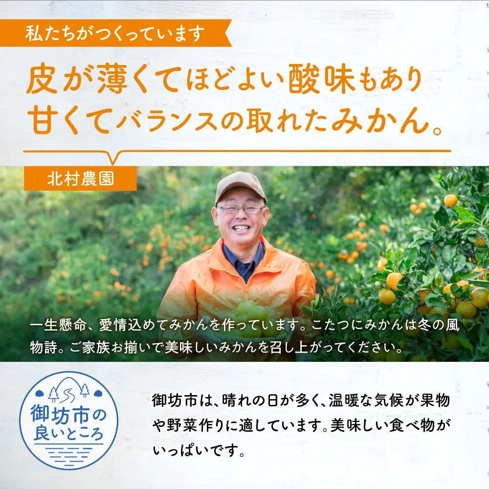 【1168-2】みかんの産地和歌山の農園直送北村農園の天田みかん7.5kg