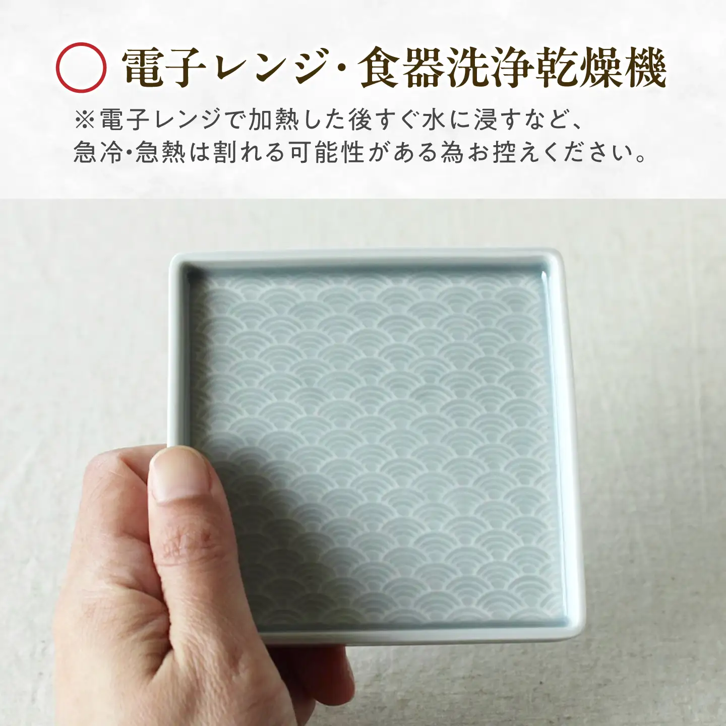 【美濃焼】 吉祥 10角皿 麻の葉×青海波  各1計2枚セット 瑞浪市 / JS企画 小田陶器  陶器 食器 お皿 皿  お皿 角皿 取り皿[AZAZ328]