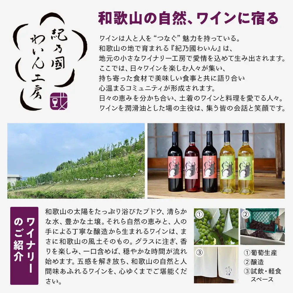 紀乃國わいん工房 神宿り デラウェア 2025 750ml