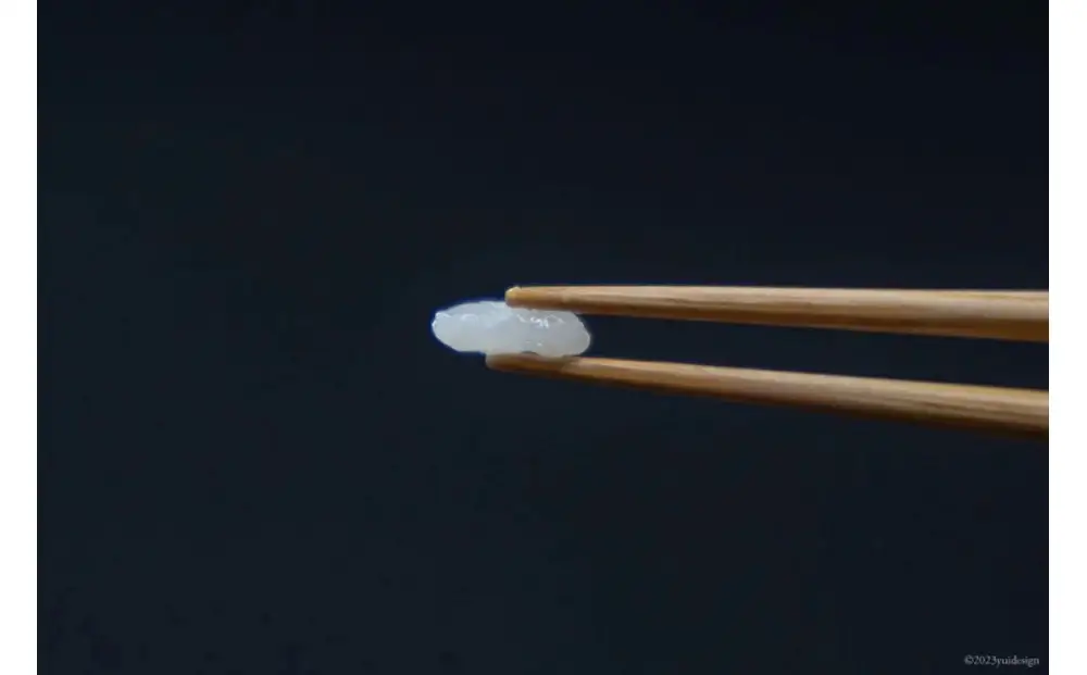 箸 食べ心地の良い竹箸 24cm 二膳セット