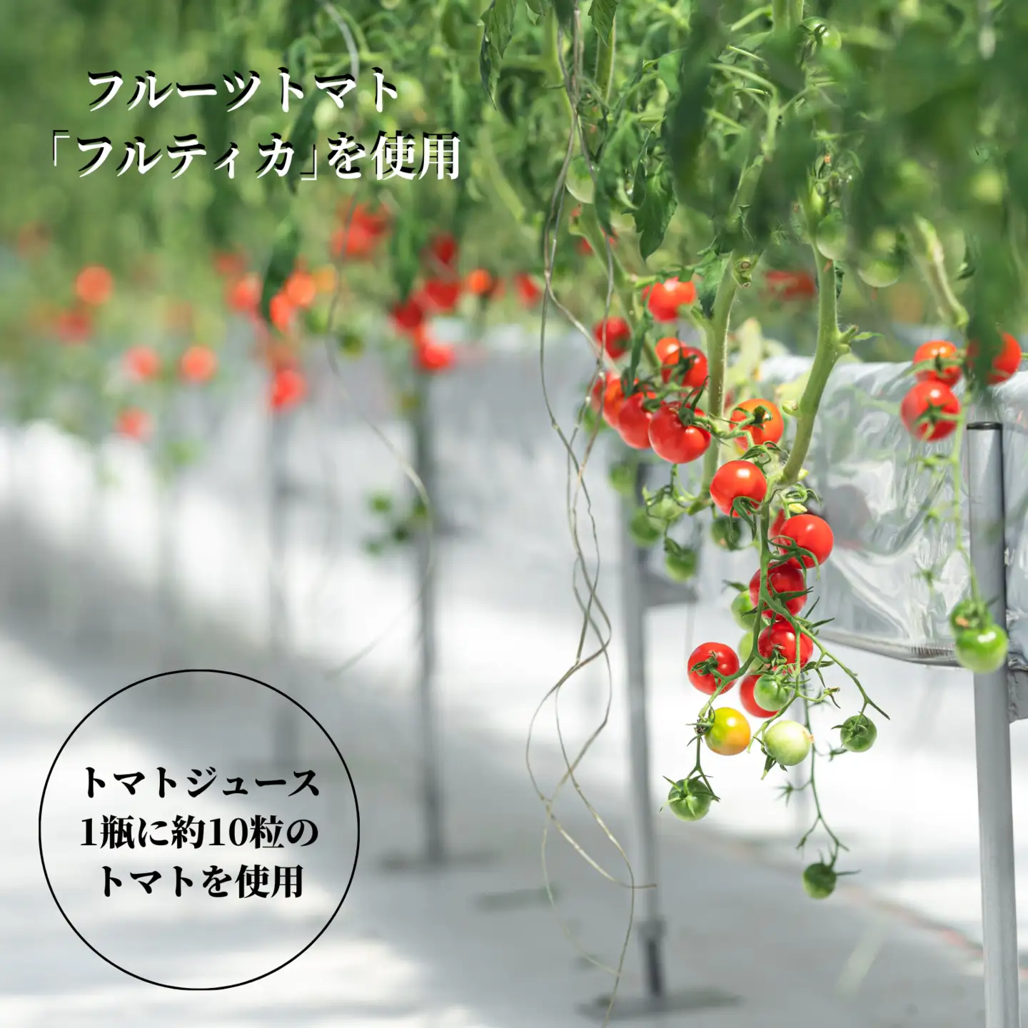 トマトジュース HANAYOSHINO 720ml×1本入