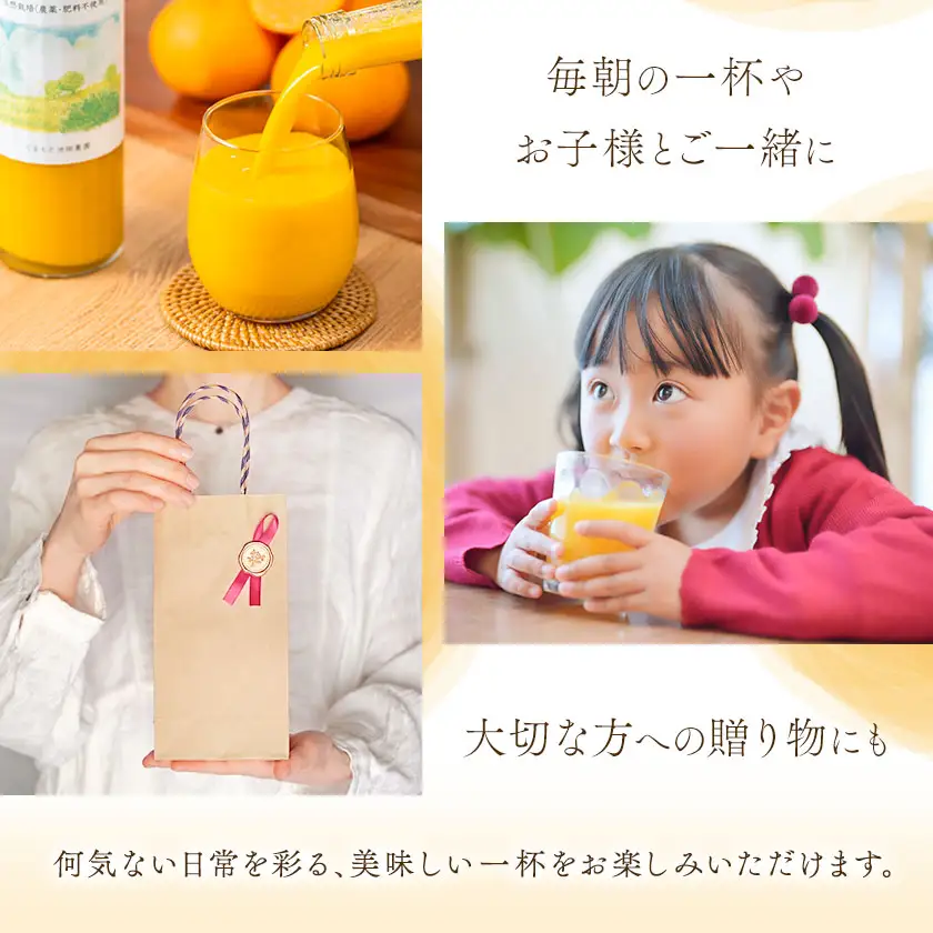 池田農園のみかんジュース 2本 1本500ml 池田農園《30日以内に出荷予定(土日祝除く)》熊本県 玉名郡 玉東町 みかんジュース みかん ミカン ジュース 自然栽培 栽培期間中農薬・肥料不使用