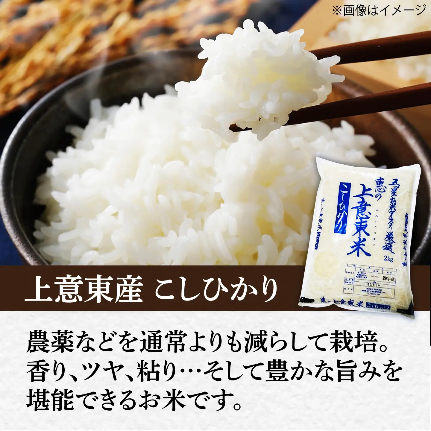 【新米予約】令和8年産 コシヒカリ きぬむすめ 食べ比べ 精米 4kg(各2kg×2袋)[ALBU024]