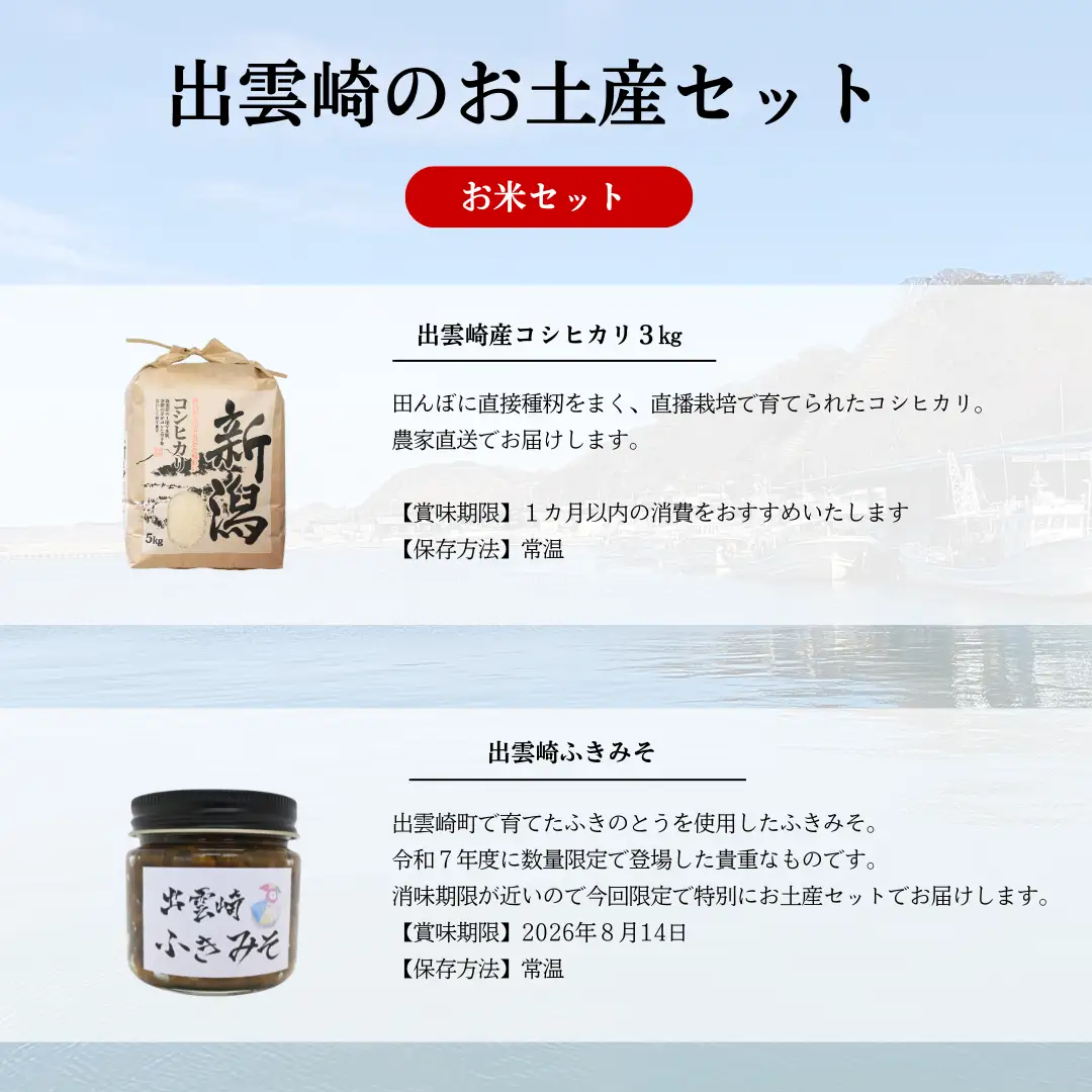 【漁船体験チケット】〈お土産付・ご飯セット〉 「8/15開催・船まつり」 乗船券 船団パレード 大人1名分（1歳～11歳2名分）| 新潟県 出雲崎町