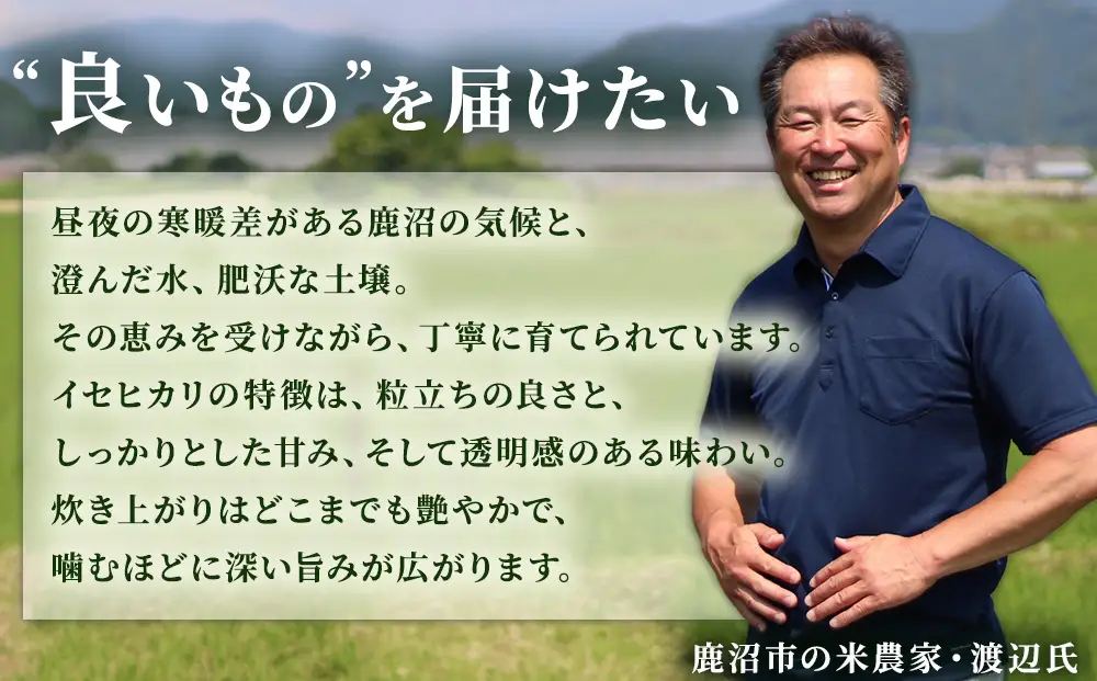 令和7年度産 伊勢ひかり 精米2kg | 白米 栃木 鹿沼市直送