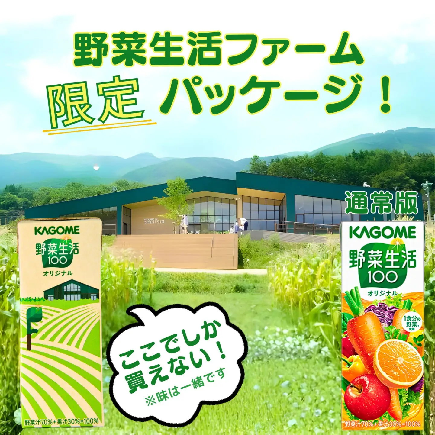 【 定期便8ヶ月連続お届け 】野菜生活ファーム限定パッケージ カゴメ 野菜生活100 オリジナル 200ml 24本 紙パック
