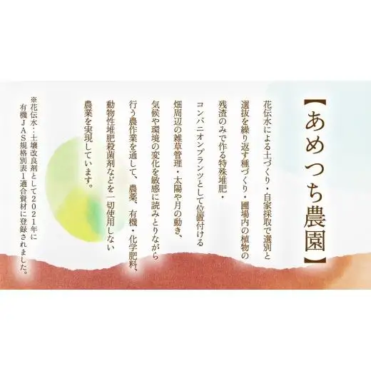 【8月下旬発送開始】 ミニトマト 約 230g × 4パック 【 あめつち農園 】 [BP001tu]