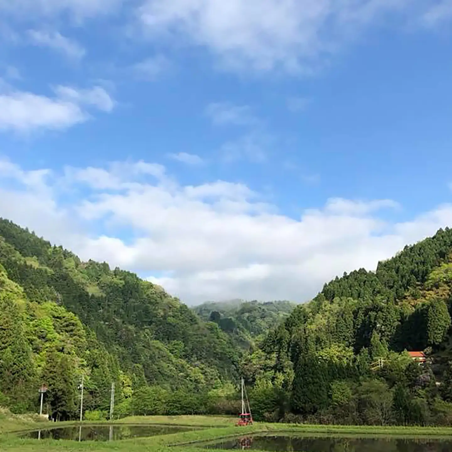 杵つき五穀もち 240g×5袋 | 杵つき もち 五穀もち 健康 餅 ぜんざい 島根県雲南市/株式会社吉田ふるさと村[AIBB020]